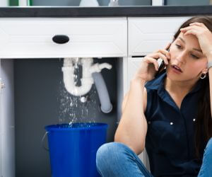 About Emergency plumbing pros Nelson, WI